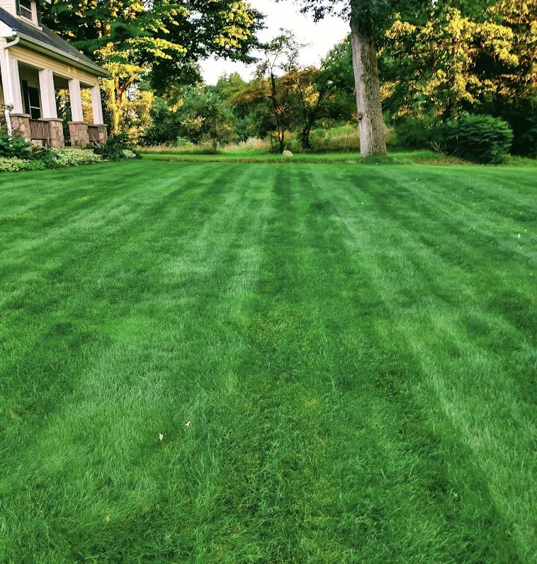 Striped freshly mowed lawn beside a country home at sunset
