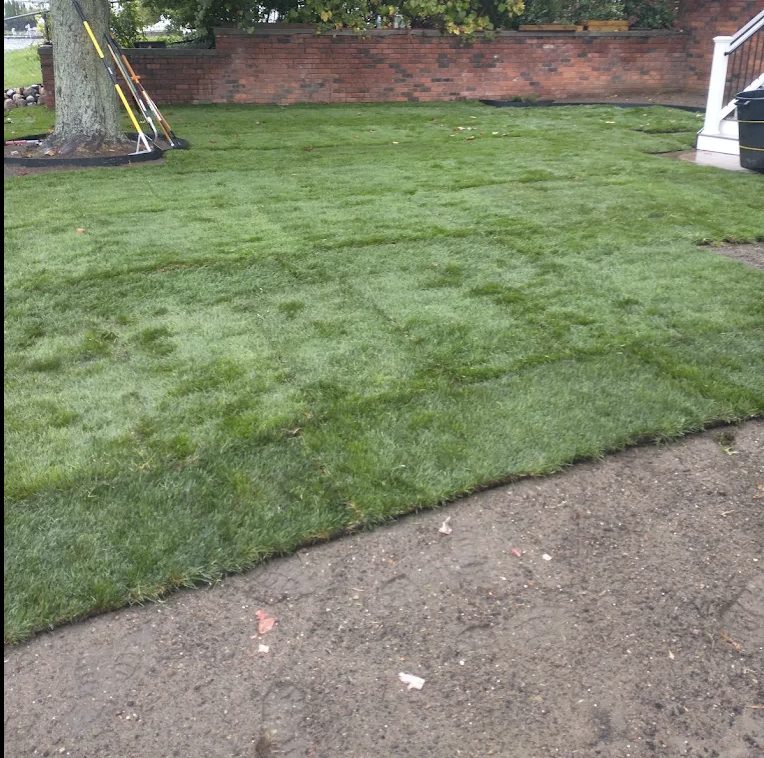 Freshly laid sod squares along a brick wall
